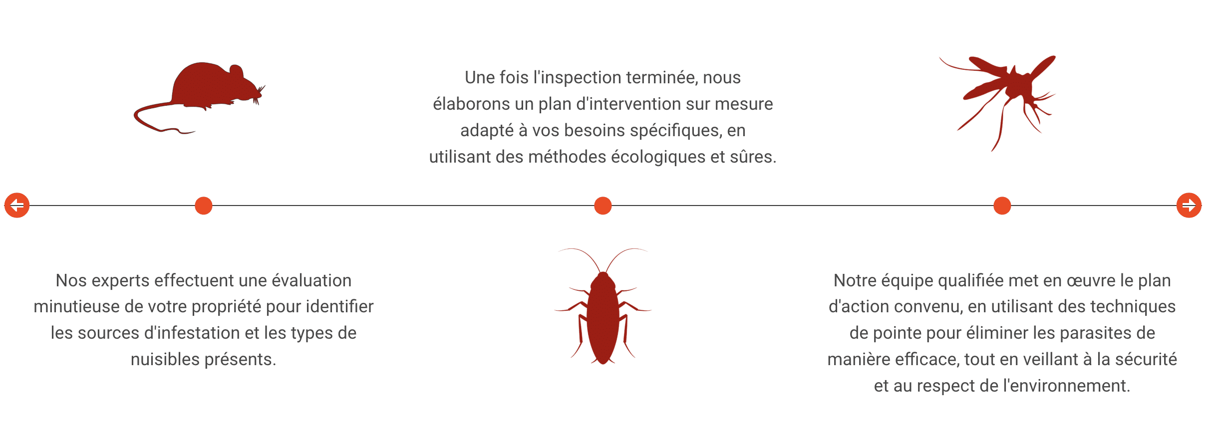 Chronologie idealpest